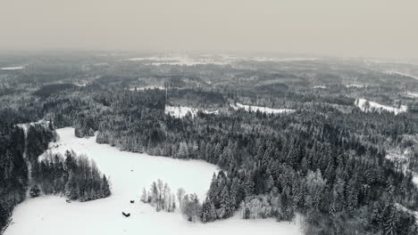 Drohnenaufnahme-Der-Seitlichen-Bewegung-Der-Tundra--Oder-Taiga-Umgebung-Mit-Panoramalandschaft