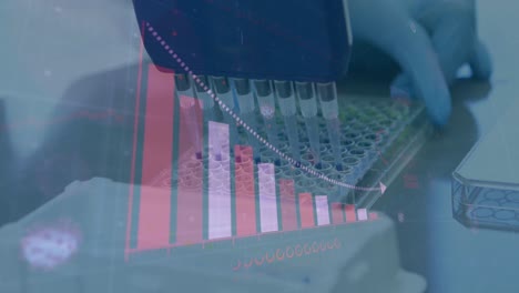 Animation-of-digital-interface-statistics-and-hands-of-scientist-using-equipment-in-lab