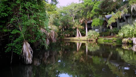 Pantano,-Pantano-En-Charleston-Sc,-Carolina-Del-Sur