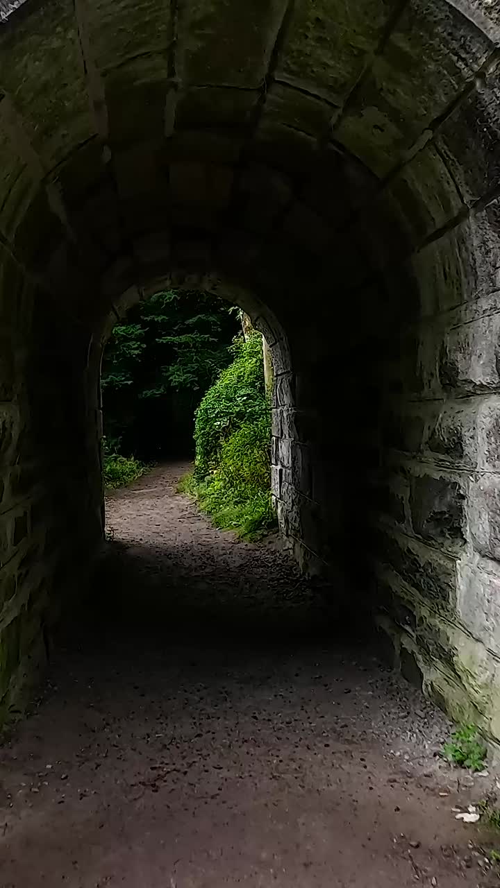 자연 속으로 돌로 된 터널을 걸어가는 것