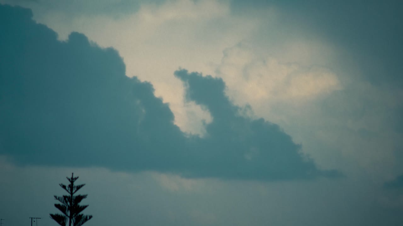 슬라이딩 구름, 어두운 파란 하늘, 폭풍의 날씨, 중동 텔 아비브, 이스라엘, 움직이는 나무, 소니 4k 비디오