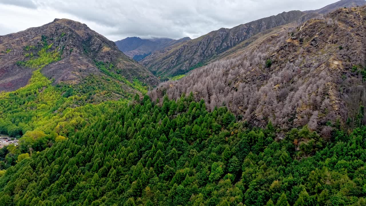 Drone flies forward revealing Arrowtown Valley with diverse green shades, golden yellows, and autumn colors under a cloudy New Zealand sky