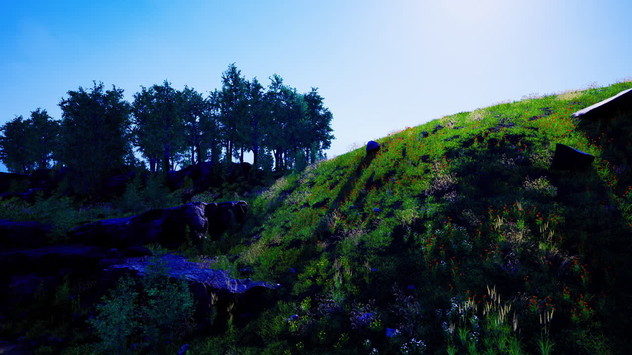 Sunrise illuminates a vibrant hillside blanketed in green and wildflowers