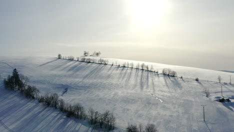 ladera nevada con árboles en un campo de invierno en morava,chequia