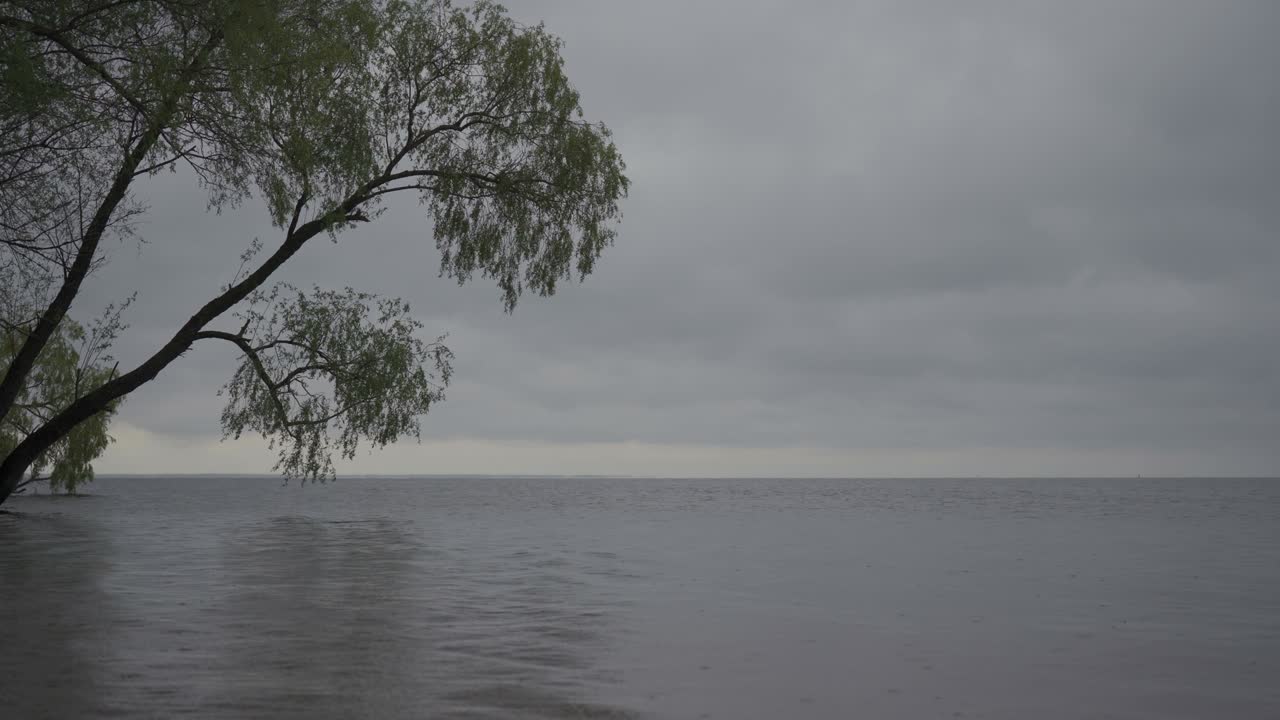 강에 비가 오는 날. 물 표면에 비방울
