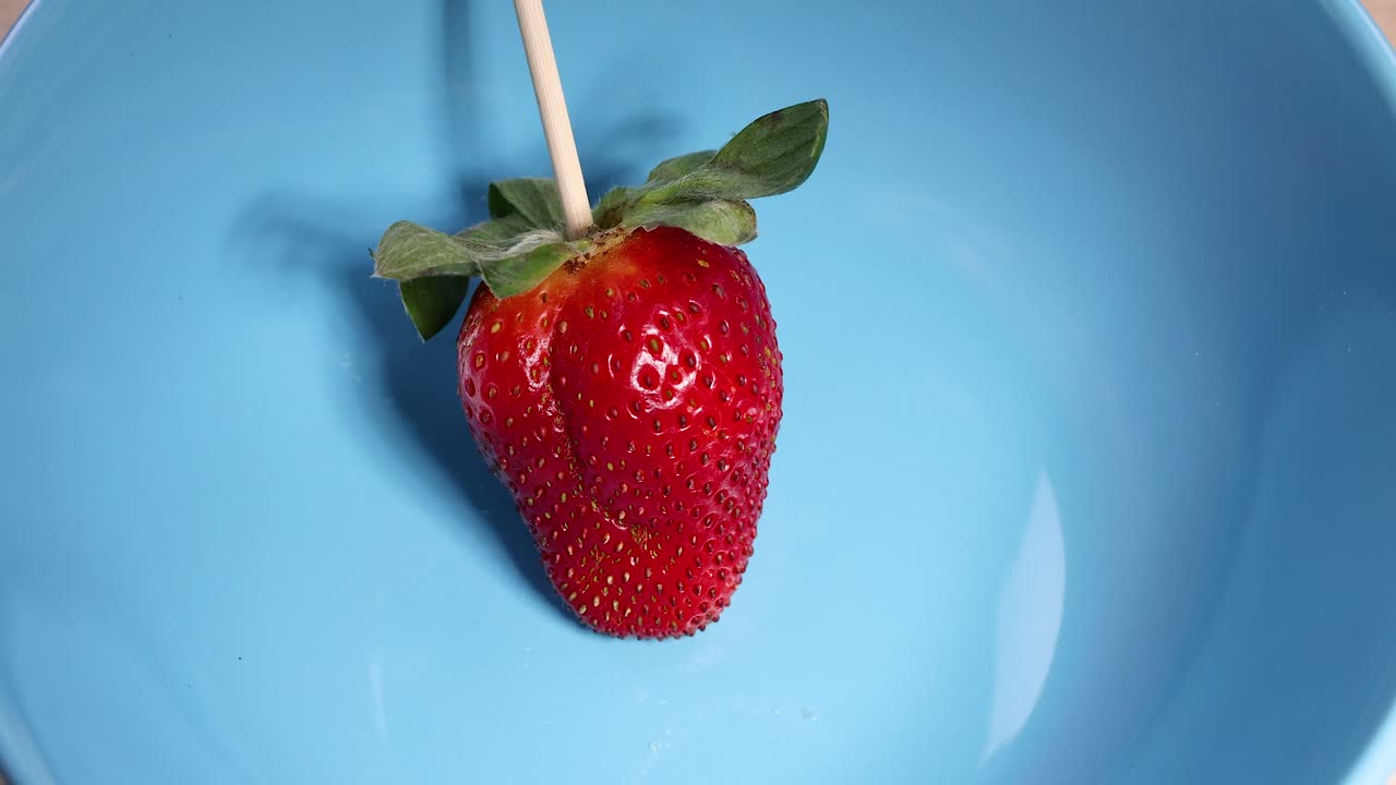 파란 그에 단 하나의 딸기