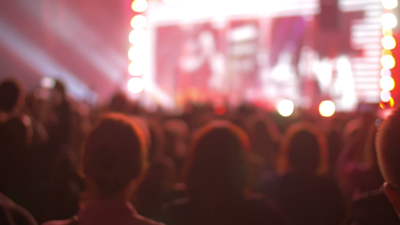 Persone in piedi al concerto pop notturno