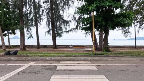 beachfront park scene with person sitting