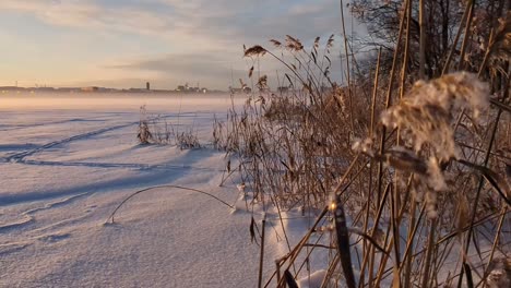 peaceful winter landscape, dreamy frozen sea, calm winter moment