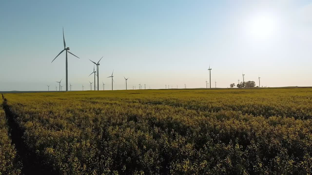 구름 없는 하늘을 가진 시골 풍경에서 풍력 터빈의 일반적인 모습