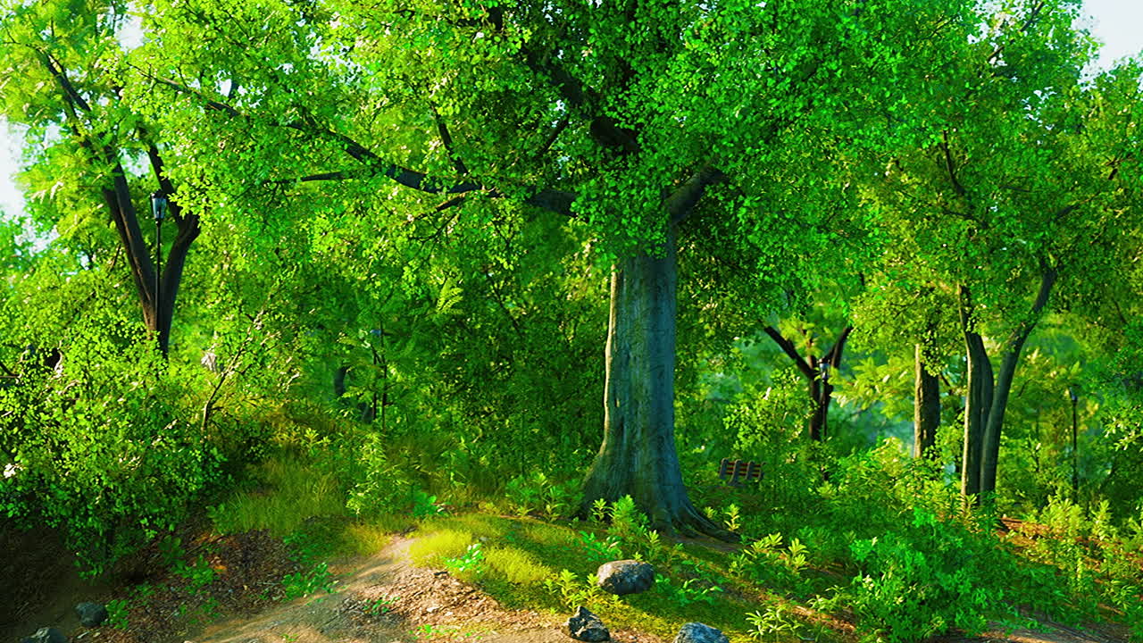 ⁇ 빛 아래 습지가 있는 도시 공원의 초록색 잔디 ⁇