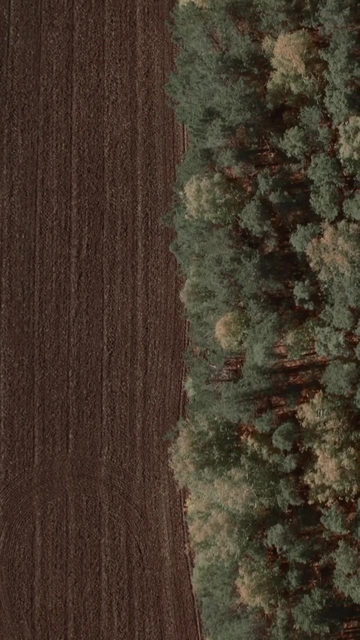 Vista aerea dall'alto di un campo agricolo appena arato accanto a una fitta foresta mista. Confine di paesaggio rurale con trame del suolo e colori autunnali, senza persone.