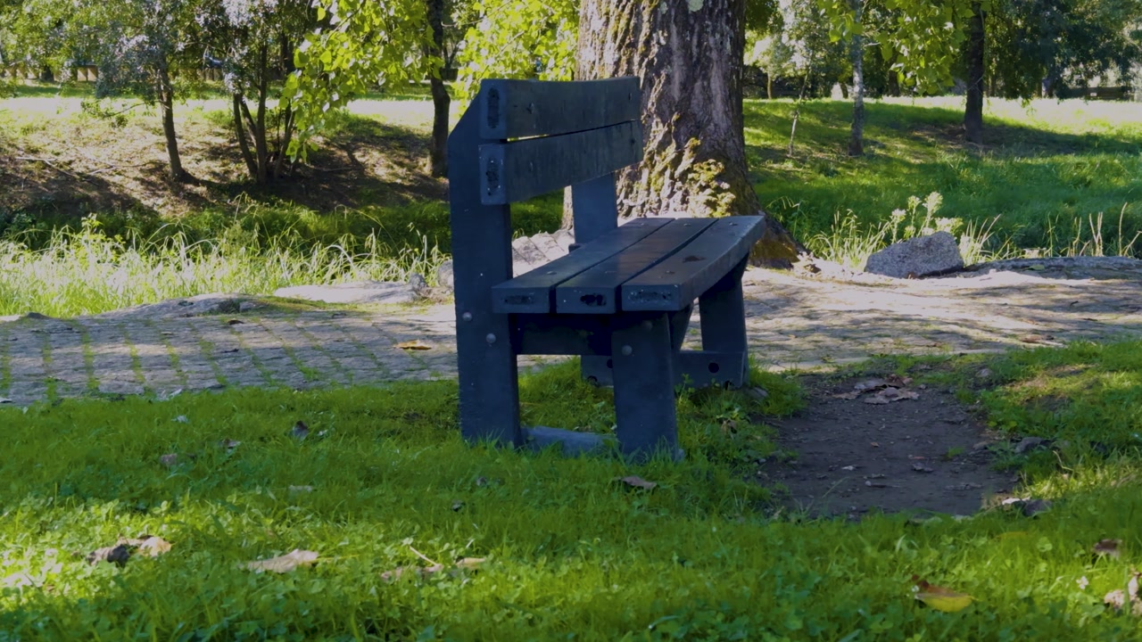 Close up shot of a bench standing in the green surroundings of a nature park.