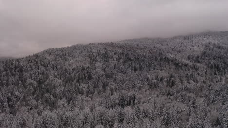 Luftaufnahme-Eines-Baumbedeckten,-Schneebedeckten-Berggipfels-An-Einem-Bewölkten-Tag
