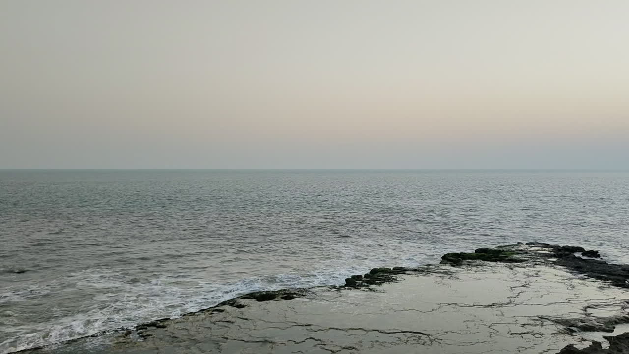 vea un pequeño pájaro volando con gracia sobre un mar tranquilo, visto desde la distancia, ofreciendo una mirada serena a la coexistencia armoniosa de la vida silvestre y la naturaleza.