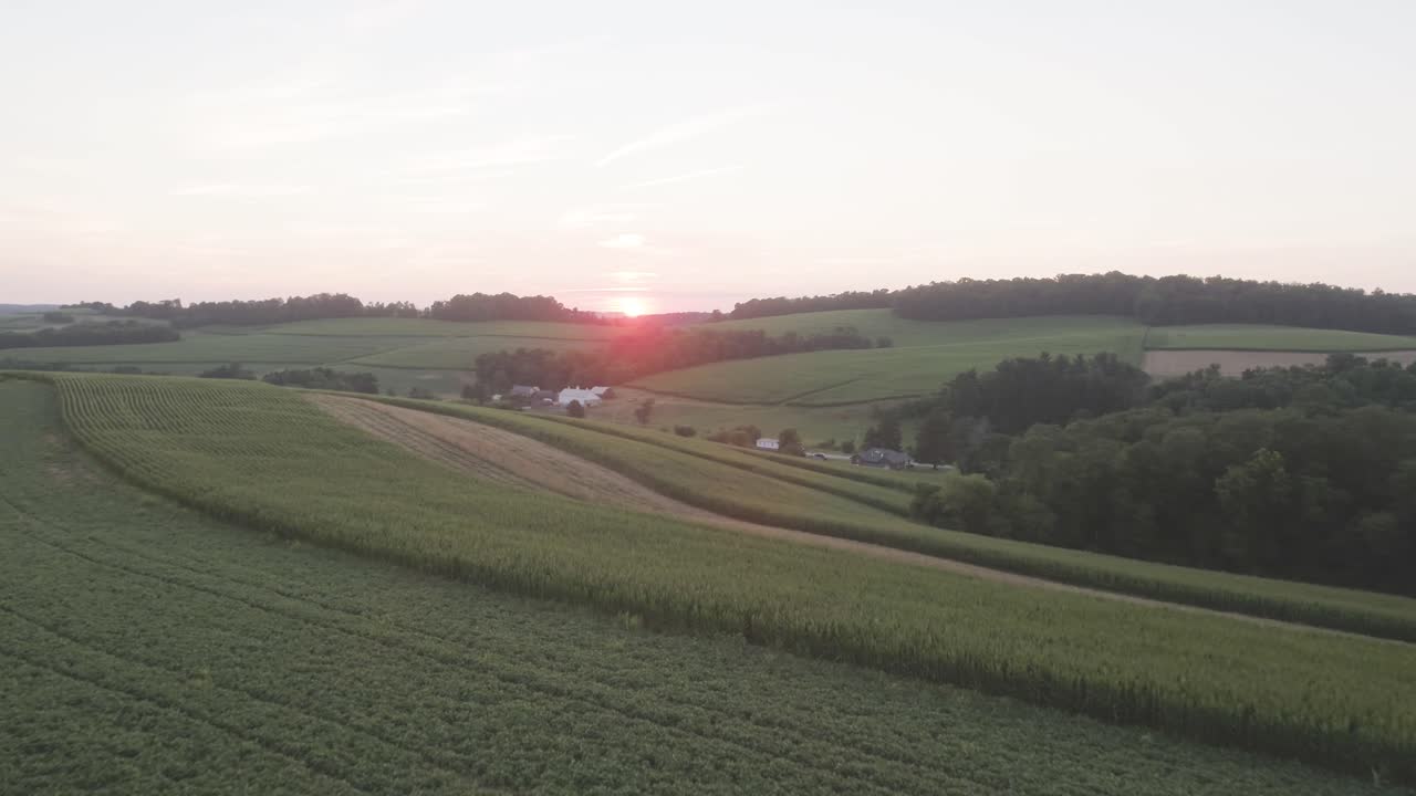 Establishing shot of the sunset over ordered rows of crops