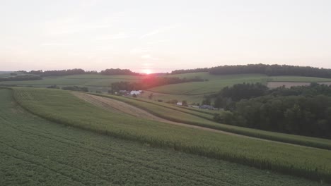 establishing shot of the sunset over ordered rows of crops