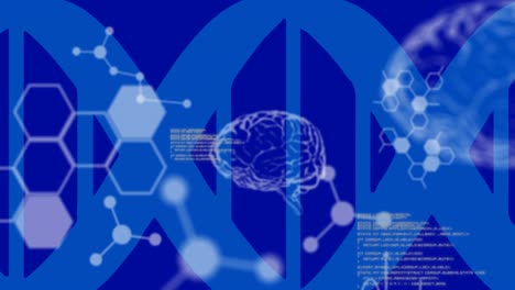 animation of data processing and human brain model on blue background