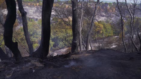 Después-Del-Gran-Incendio-Forestal-En-La-Montaña-Parnitha,-Grecia