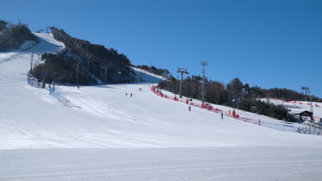 skiers on slopes of alpensia ski resort, pyeongchang, uphill panning view