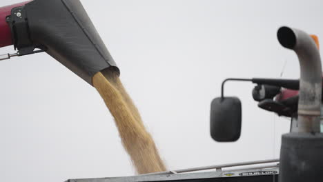 Slow-Motion-Shot-of-Grain-Shooting-from-Combine-Harvester-Chute-into-Grain-Bin