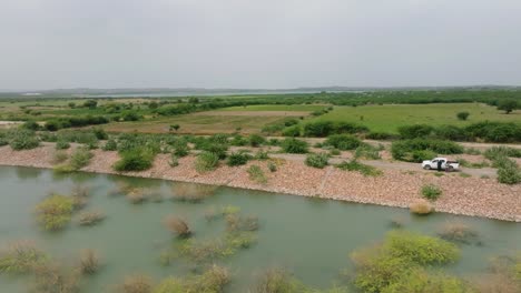 Aerial-of-lush-rice-fields-in-Golarchi,-Sindh---fly-over