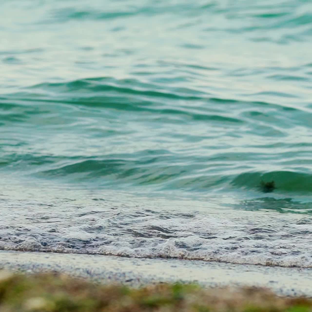 Waves on the seashore.