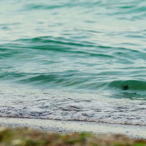 waves on the seashore.