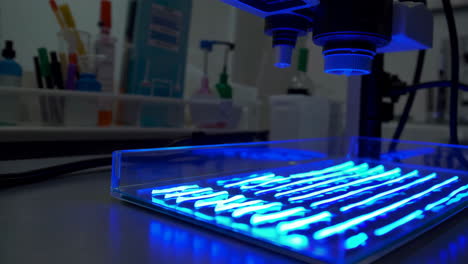 fluorescence microscopy in a laboratory setting