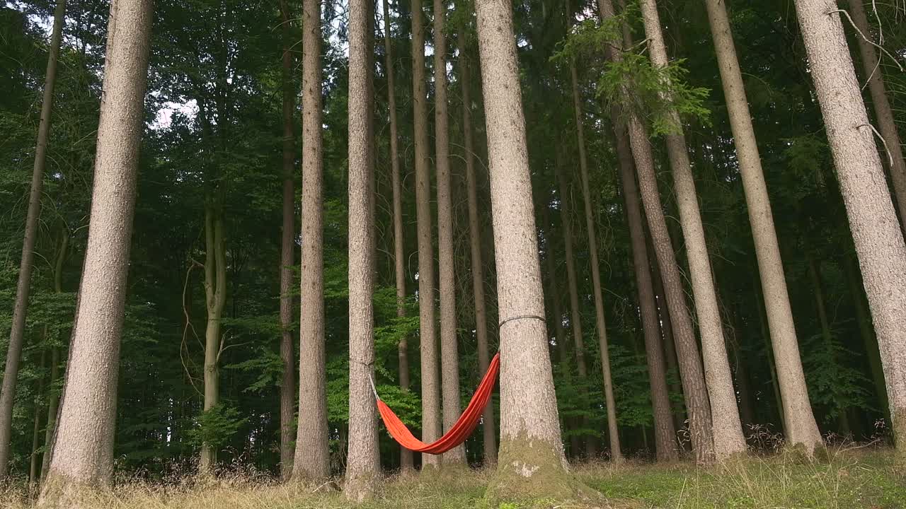Orange hammock sways peacefully among tall forest trees, conveying calm