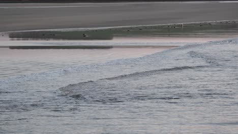 Am-Frühen-Morgen-An-Einem-Sandstrand-Nach-Ankommenden-Gezeiten-Und-Wellen