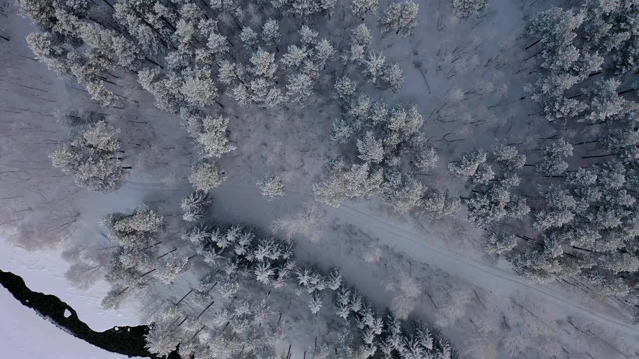 Aerial winter scenes of snow coverd forest in Norway. Snowy forest, Arctic wilderness, and breathtaking drone shots in 4K. Perfect for winter-themed projects.