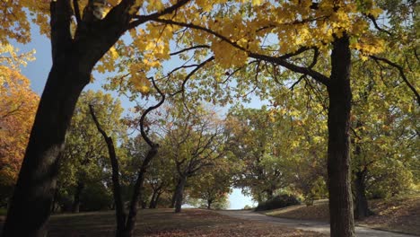 Jardín-Público-Vacío-En-Otoño,-Toma-Cinematográfica-De-Cardán