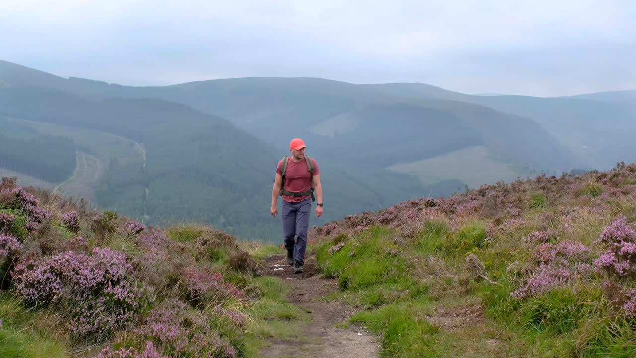 turista en la cima de la montaña en el parque nacional de wicklow