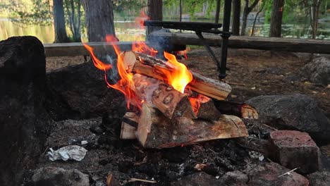 Pequeño-Fuego-De-Madera-Que-Comienza-A-Arder-Lentamente-En-Una-Hoguera-De-Roca-En-El-Parque-Nacional-Nuuksio-En-Finlandia