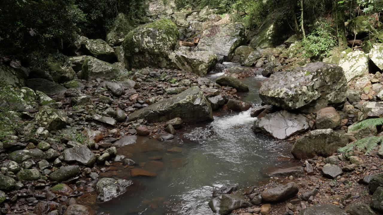 Creek river water flowing over pebble stone path in the forest, nature landscape