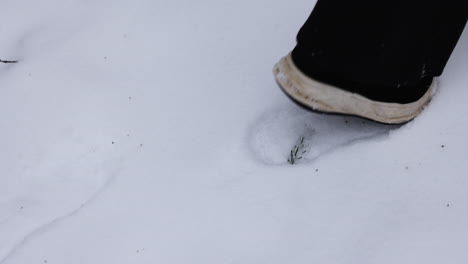 Fußspuren-Im-Schnee