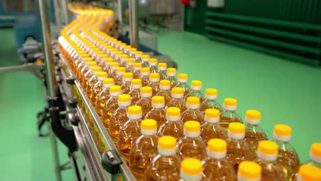 oil bottles on a conveyor belt in a factory