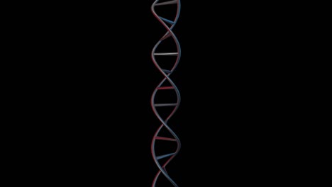 dna vertical 4k loop alpha channel