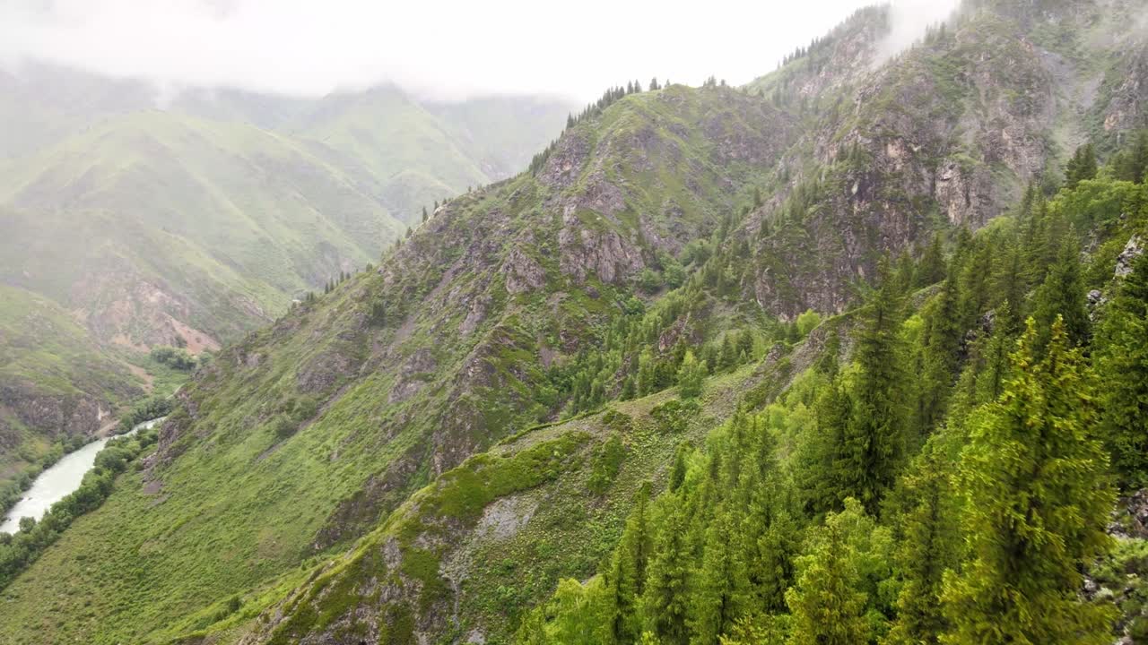 paisaje con hierba y montañas