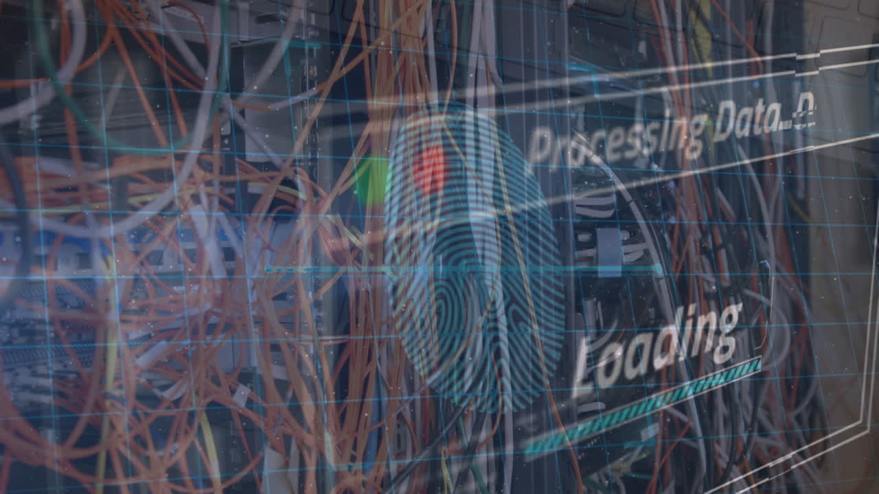 Animation of data processing and biometric fingerprint over computer server