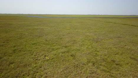 wetlands of northeast argentina shooted with drone