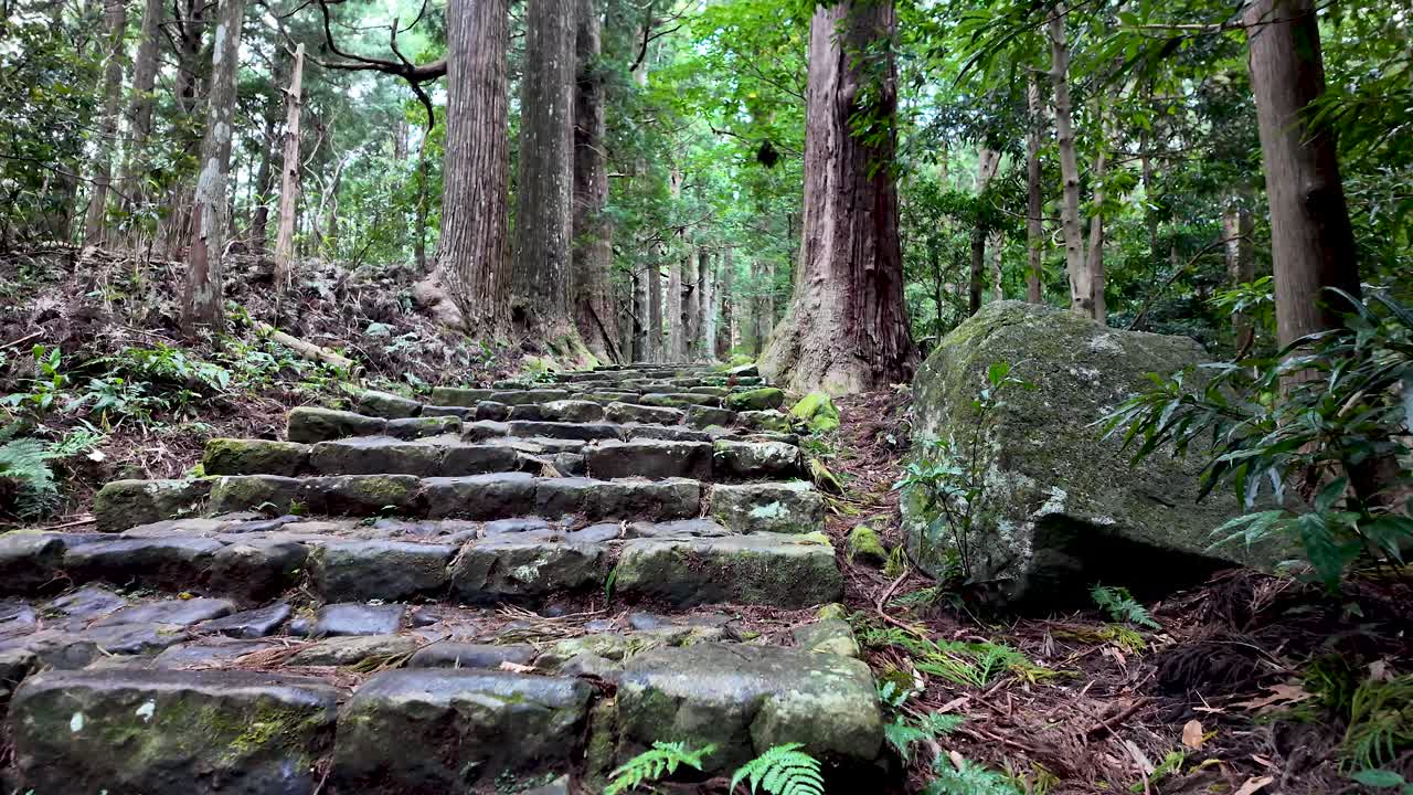Mossy stone steps ascending through a serene forest in the Nachisan section of the Kumano Kodo pilgrimage trail in Japan