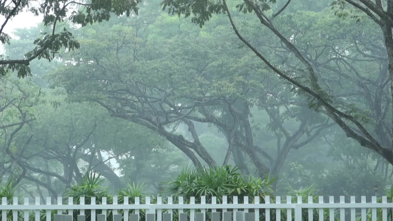 공원에서 비가 오는 날