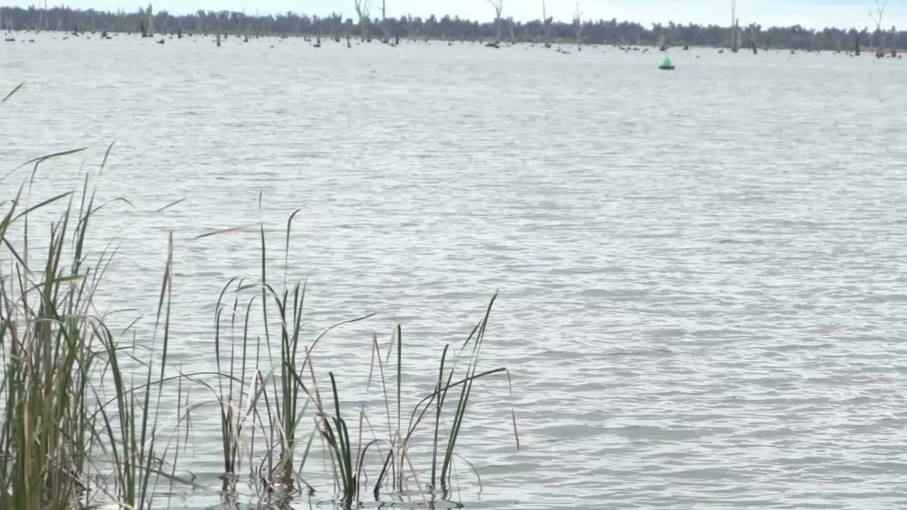 잔디와 바람이 부는 흐린 겨울 날에 야외 자연 호수