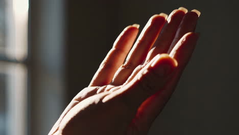 close-up of a hand in sunlight