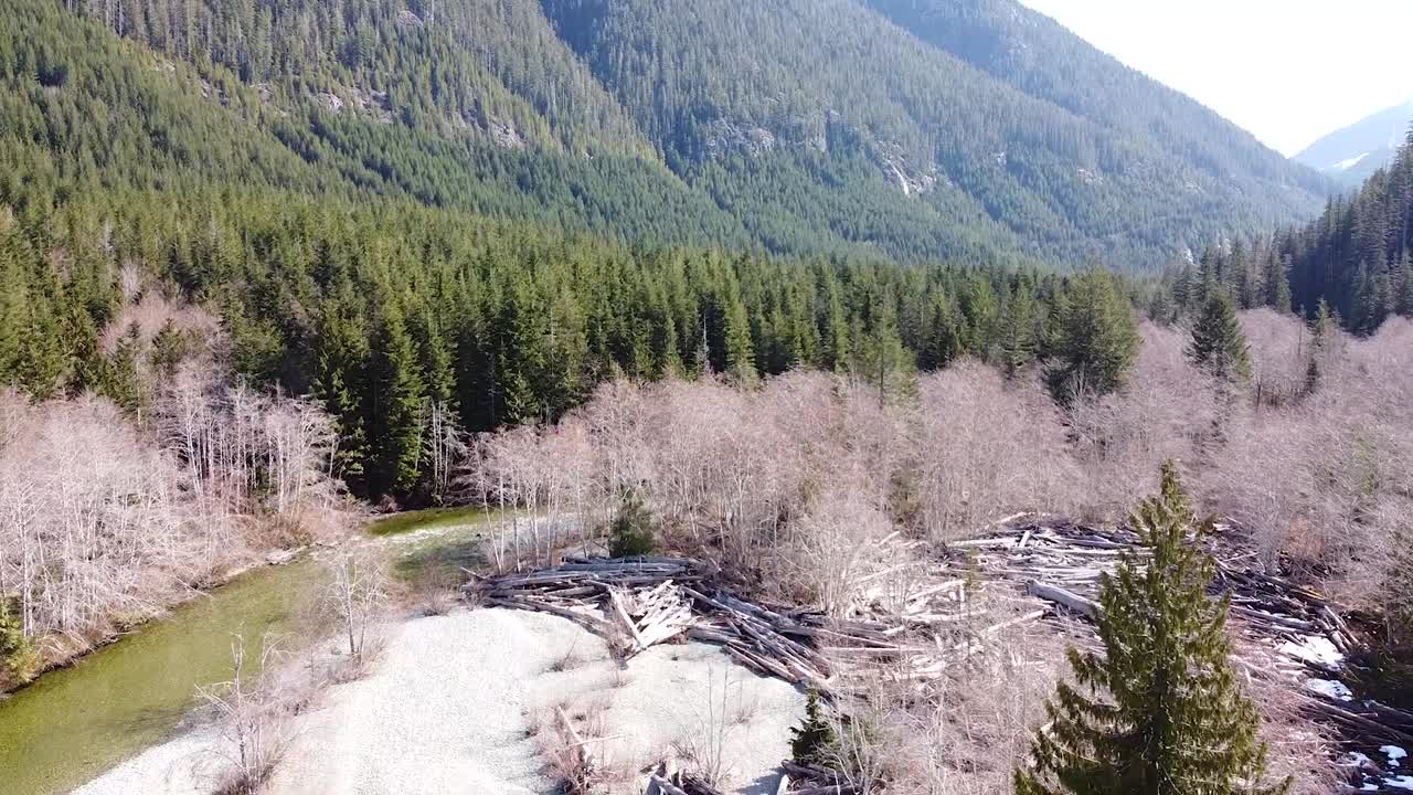 Ripresa aerea bassa del bacino fluviale sull'Isola di Vancouver, Canada.