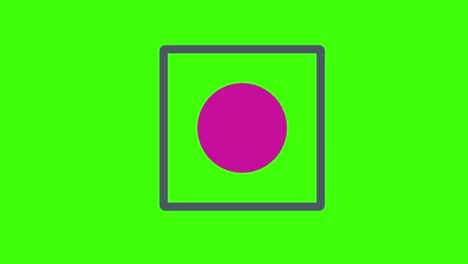 animación de un icono infográfico en un fondo de pantalla verde