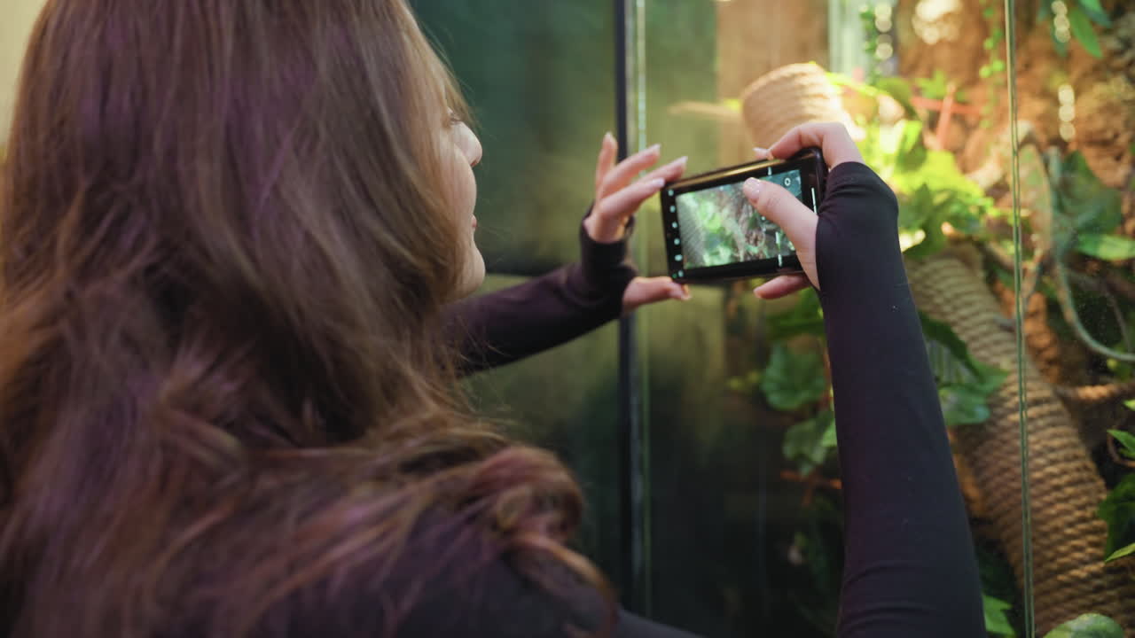 Woman holds smartphone in landscape position capturing moment as chameleon climbs rope in terrarium filled with tropical greenery while background remains softly blurred for visual depth