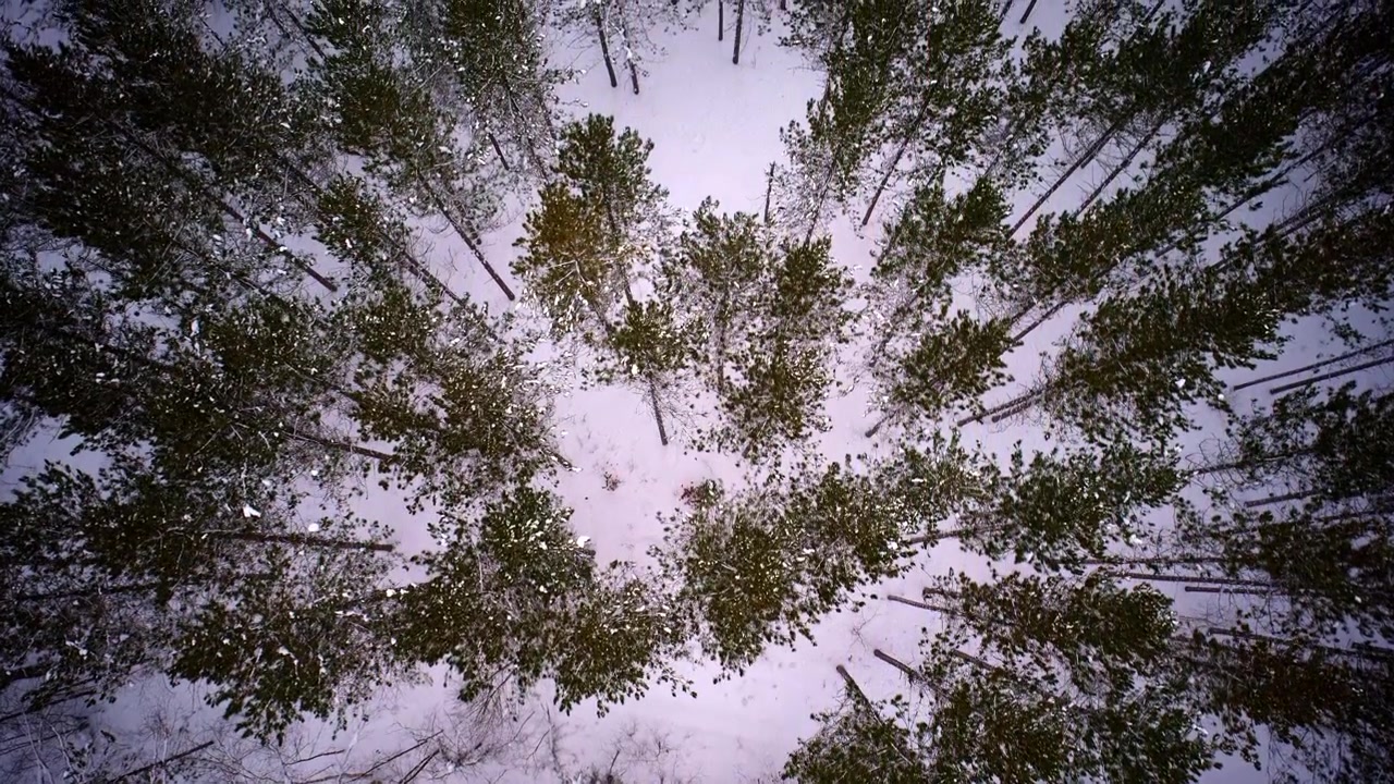 Drone shot cruising over a frozen, snow-covered wilderness in the Upper Peninsula